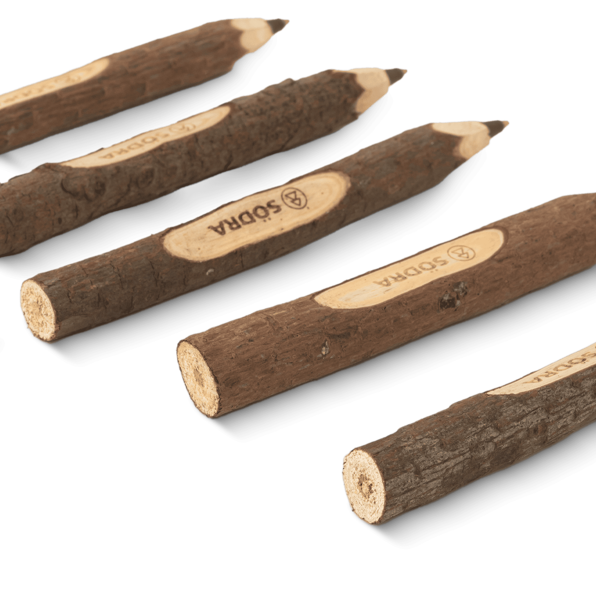 träpenna med närbild på södra logga