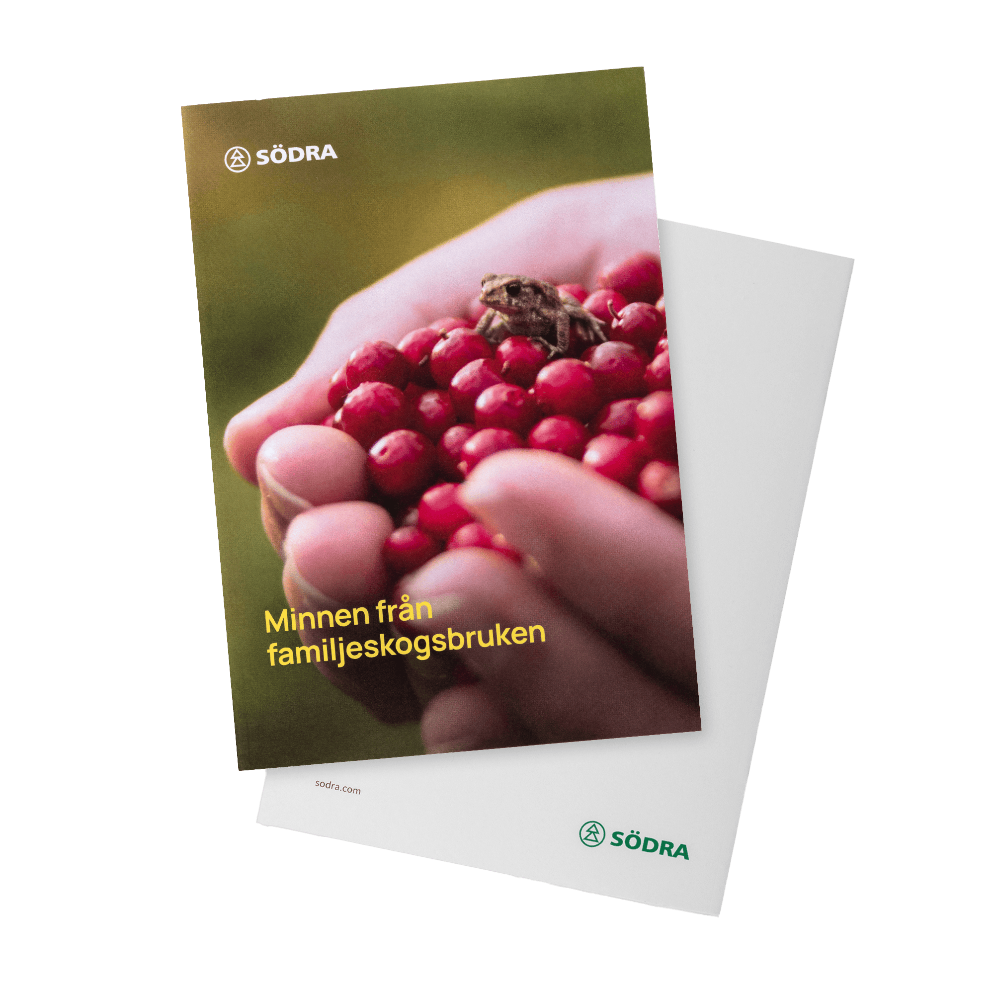 södra färgpennor kitt